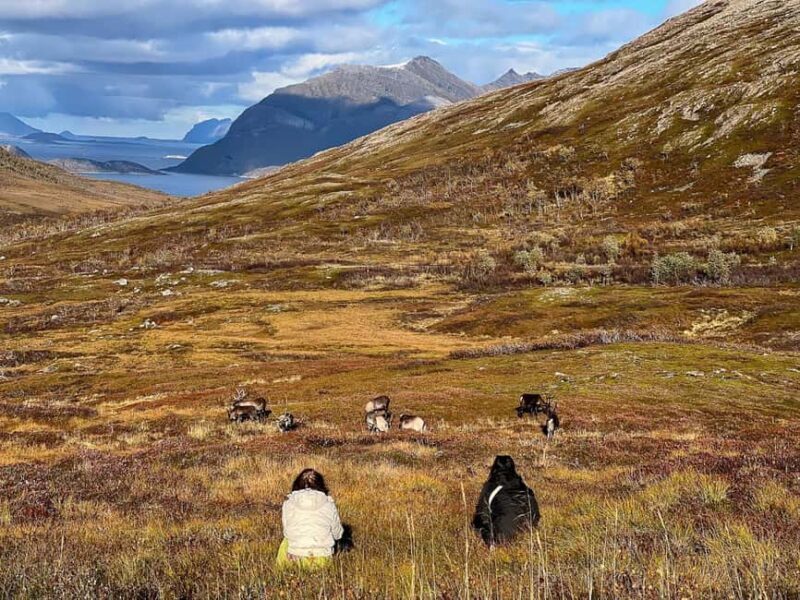 Tromso: Fjord Arctic Adventure Expedition - What’s Not Included