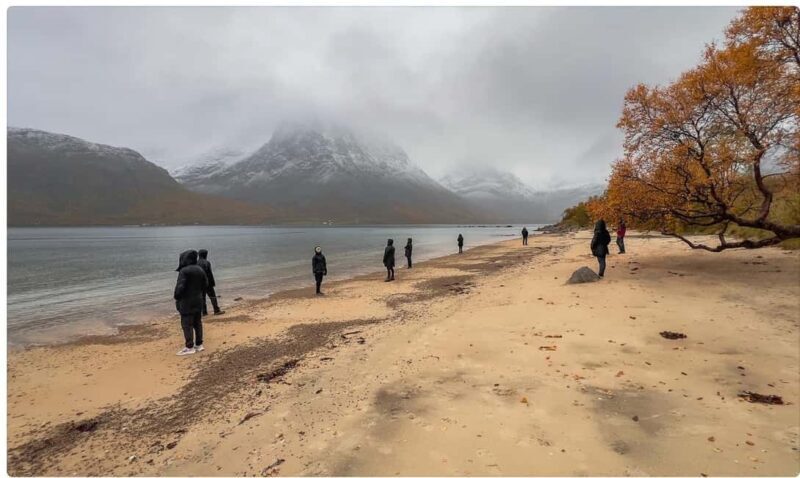 Tromso: Fjord Arctic Adventure Expedition - Practical Tips to Maximize Your Experience