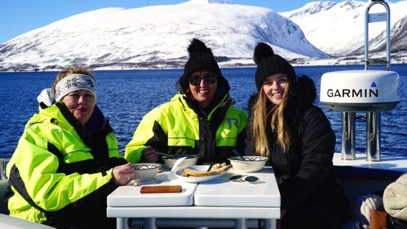 Tromsø: Fjord Cruise by Luxury Yacht - What to Expect on the Water
