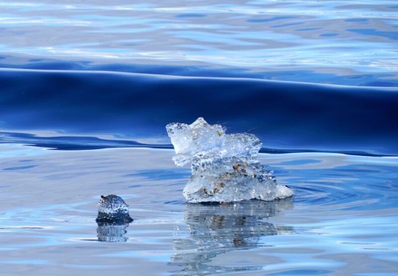Tromsø: Fjord Cruise by Luxury Yacht - Who Would Enjoy This Experience?