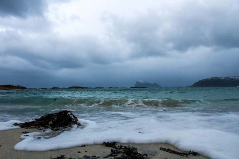 Tromsø: Fjord tour in a minibus to Sommarøy with fishsoup - The Experience: What You Can Expect from This Fjord Tour