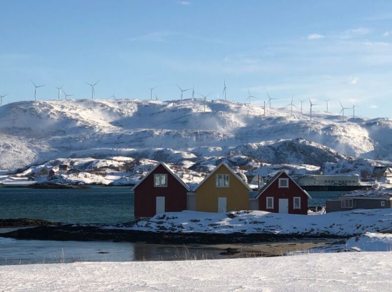 Tromsø: Fjords and Sommarøy Islands Tour with Salmon Picnic - Diving Into the Experience