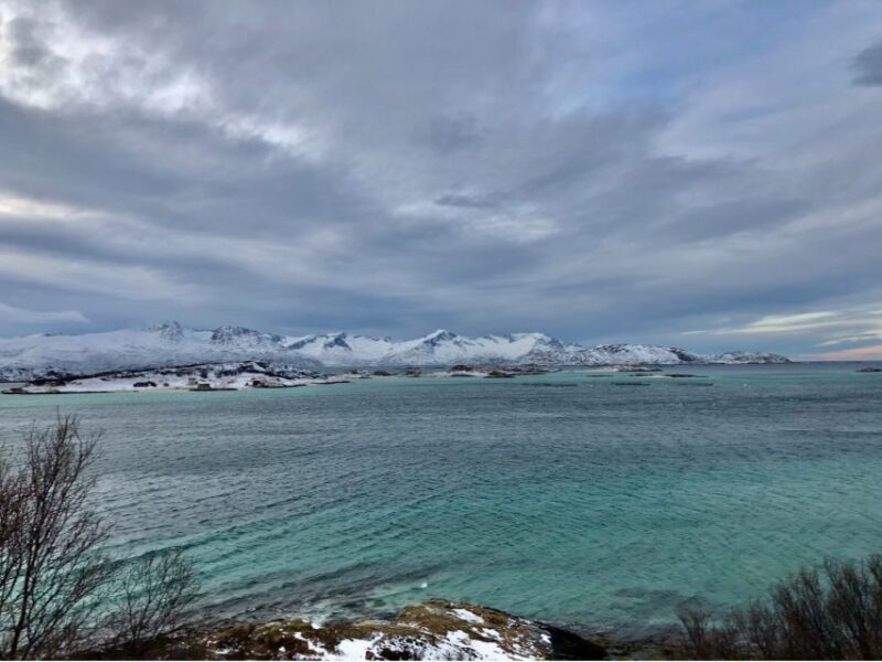 Tromsø: Fjords and Sommarøy Islands Tour with Salmon Picnic - What Do the Reviews Say?
