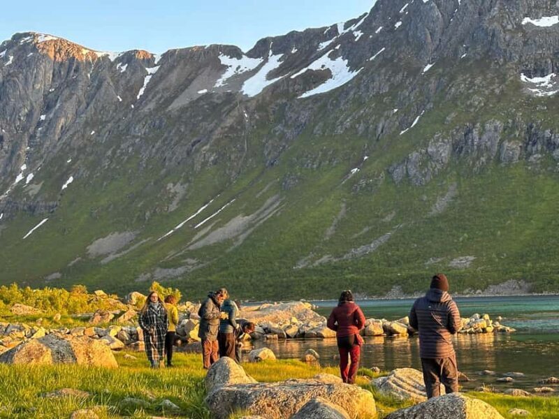Tromsø: Fjords and Wildlife Tour in a Minibus - The Practical Side: Transport, Duration, and Cost