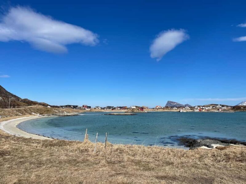 Tromsø: Fjords and Wildlife Tour in a Minibus - Who Is This Tour Best For?