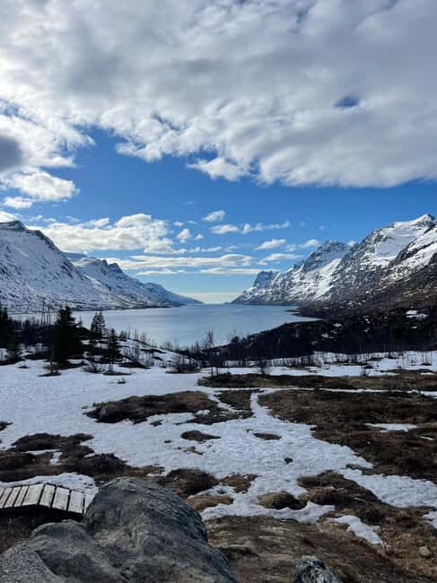 Tromsø: Fjords and Wildlife Tour in a Minibus - Final Thoughts