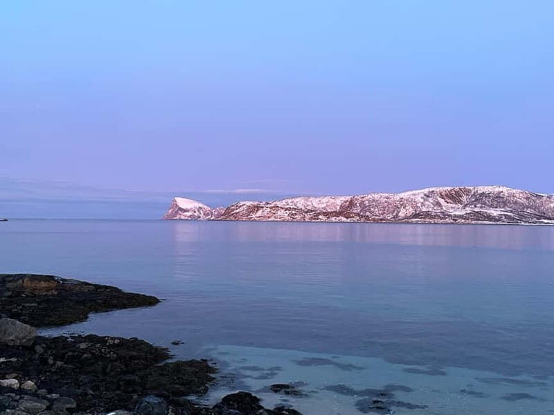 Tromsø: Fjords, Mountains and City Highlights Day Tour - Tromsø: Fjords, Mountains and City Highlights Day Tour – A Down-to-Earth Review