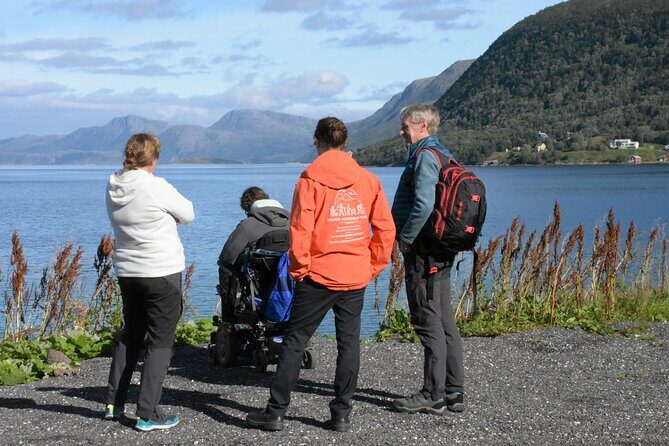 Tromsø Fjords Tour of Kvaloya and Sommaroy - The Breakdown of the Experience