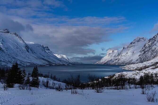 Tromsø: Fjords Tour with campfire and photos - An In-Depth Look at the Fjords Tour