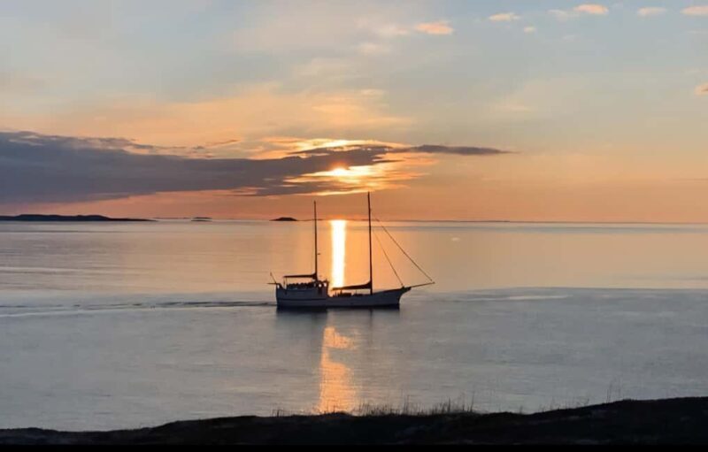 Tromsø: Guided Arctic Nature & Fjord Small Group Tour - What to Expect from Your Guide