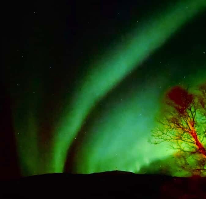 Tromsø: Guided Arctic Nature & Fjord Small Group Tour - Comfort and Practical Details