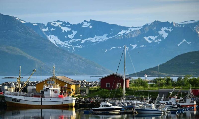 Tromsø: Guided Arctic Nature & Fjord Small Group Tour - In The Sum Up