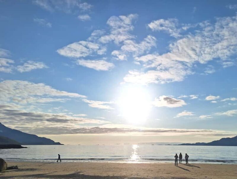 Tromsø: Guided Arctic Nature & Fjord Small Group Tour - FAQ