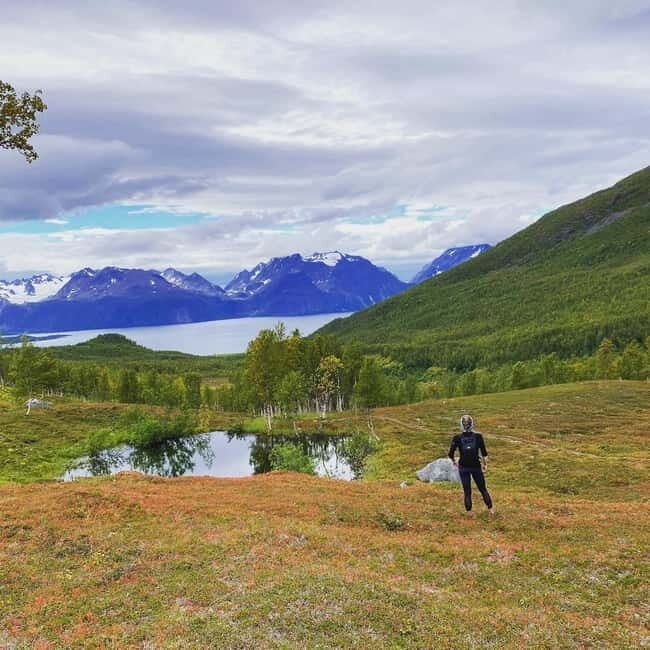 Tromsø: Guided Hiking Tour with Roundtrip Transfers - Key Points