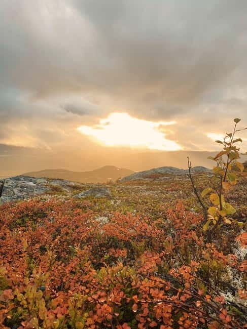 Tromsø: Guided Hiking Tour with Roundtrip Transfers - FAQs