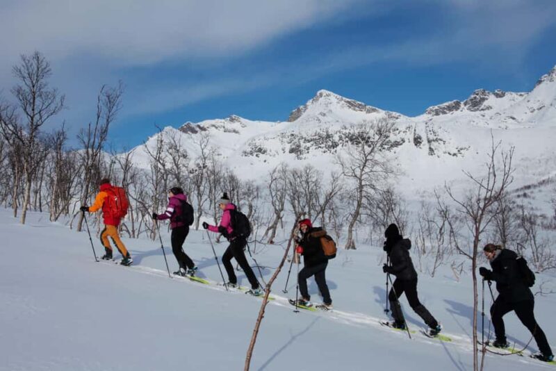 Tromsø: Guided snowshoe hill hike - The Sum Up