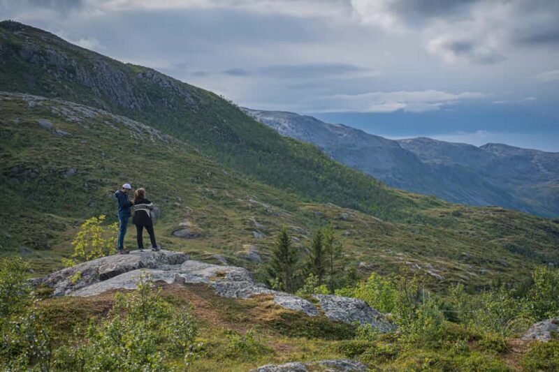 Tromso: Guided Summer Hiking Tour with Picnic & Photos - The Cost and Value