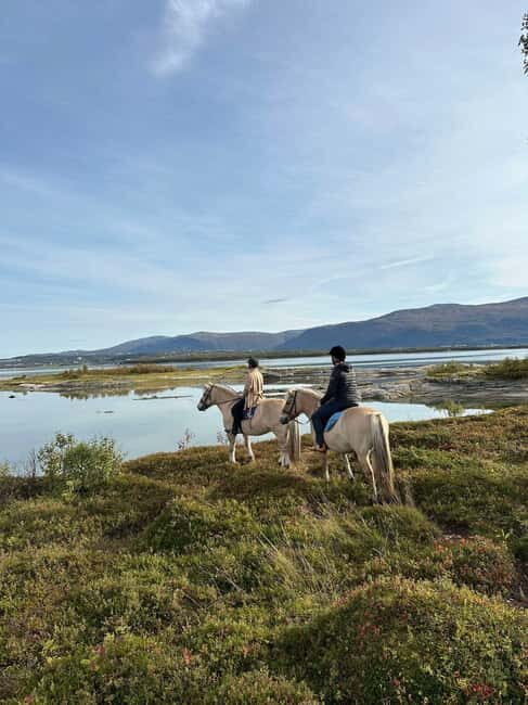 Tromsø: Horseback Riding Tour vinter/summer - Key Points