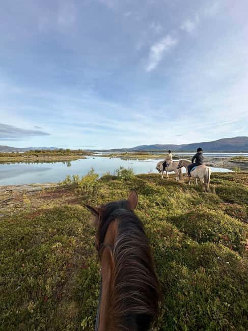 Tromsø: Horseback Riding Tour vinter/summer - The Experience in Action: What Travelers Say