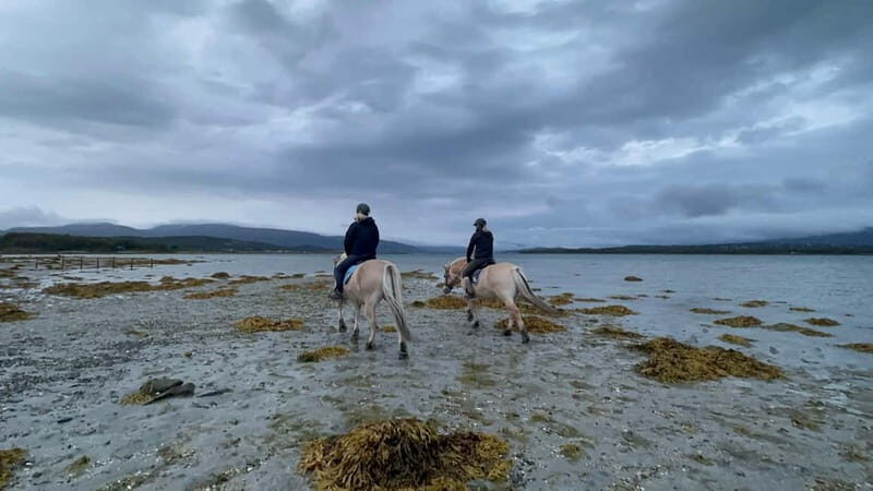 Tromsø: Horseback Riding Tour vinter/summer - Who Should Consider This Tour?