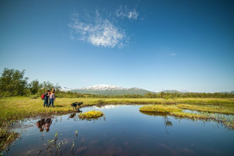 Tromsø: Husky Hike and Puppy Visit with Traditional Lunch - Who Should Consider This Tour