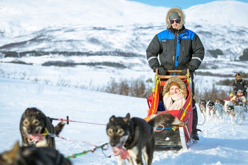 Tromsø: Husky Sled Self-Drive with Traditional Lunch - Sami Warm-Up: Bidos by the Open Fire (Plus Cake and Drinks)