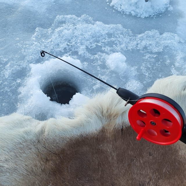 Tromsø: Ice Fishing and Snowshoe Hiking with a Local Guide - Key Points