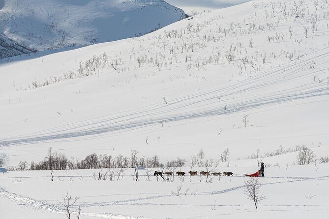 Tromsø: Kvaløya & Sommarøy Guided Tour - Frequently Asked Questions