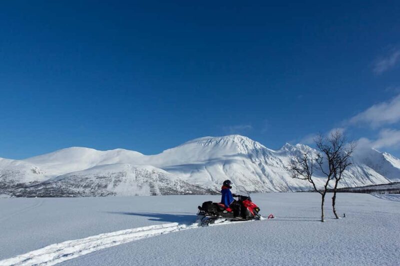 Tromsø: Lyngen Alps Snowmobile Adventure with Lunch - Key Points