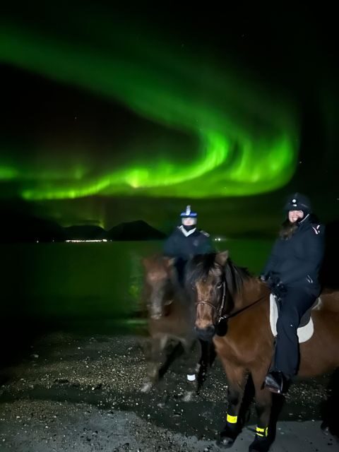 Tromsø: Lyngen Horse Winter Evening Riding Experience - Scenic Views and Horse Interactions