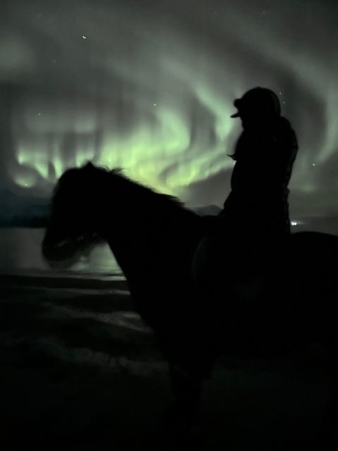Tromsø: Lyngen Horse Winter Evening Riding Experience - Who Will Love This Tour?