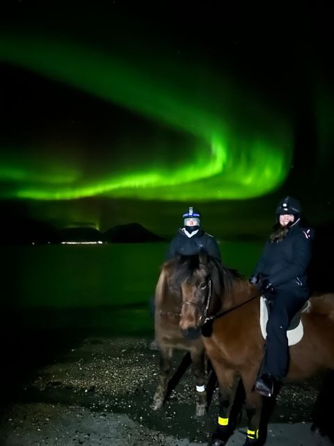 Tromsø: Lyngen Horse Winter Evening Riding Experience - Final Thoughts