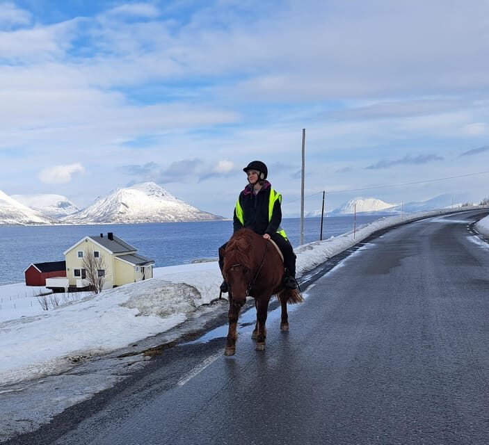 Tromsø: Lyngen Horse Winter Riding Experience - Who Is This Tour Best For?