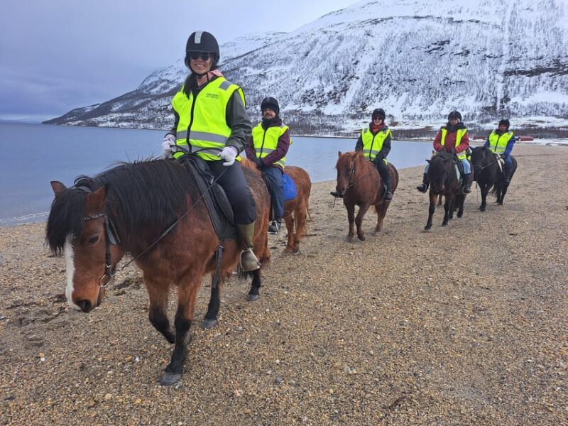 Tromsø: Lyngen Horse Winter Riding Experience - The Price and Value