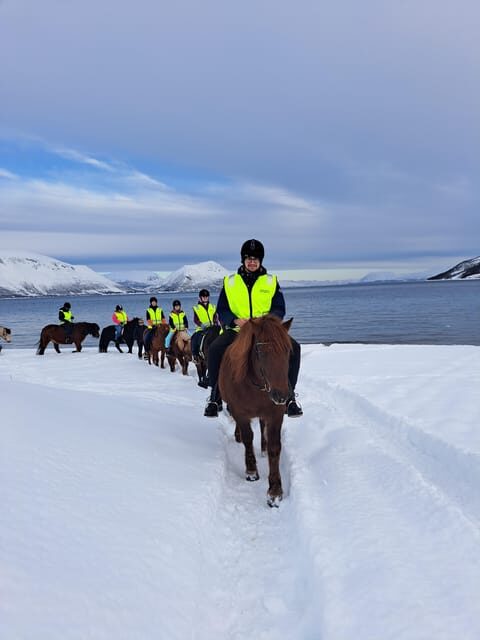 Tromsø: Lyngen Horse Winter Riding Experience - The Bottom Line