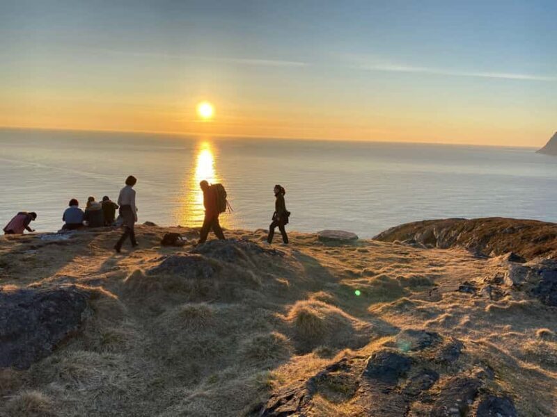 Tromsø: Midnight Sun Tour to the Magical Sommarøy with Meal - Key Points