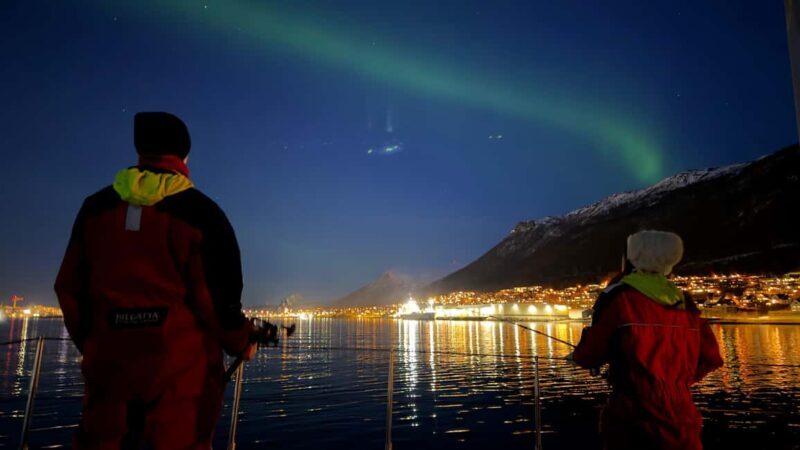 Tromsø: Nocturnal cod fishing with meal. - The Value and Overall Impression