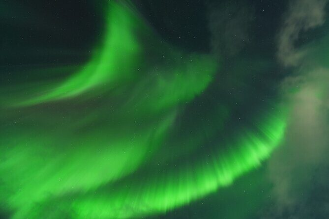 Tromsø: Northern Light tour with free complimentary photos. - The Experience: What You Can Expect