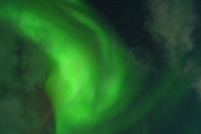 Tromsø: Northern Light tour with free complimentary photos. - What the Reviews Say