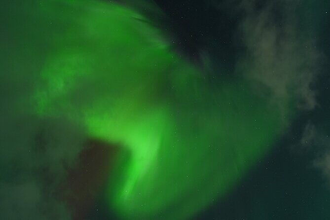 Tromsø: Northern Light tour with free complimentary photos. - The Bottom Line: Is This Tour Right for You?