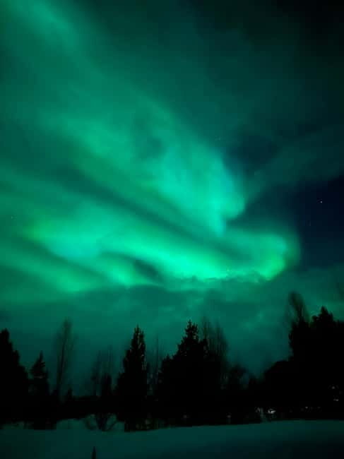 Tromsø: Northern Lights and a Starlit Adventure Tour - Key Points