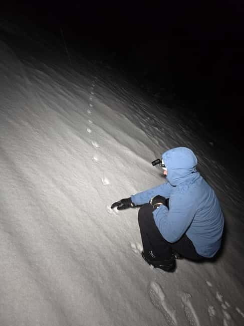 Tromsø: Northern Lights and a Starlit Adventure Tour - What to Expect on the Tromsø Northern Lights and Starlit Adventure Tour