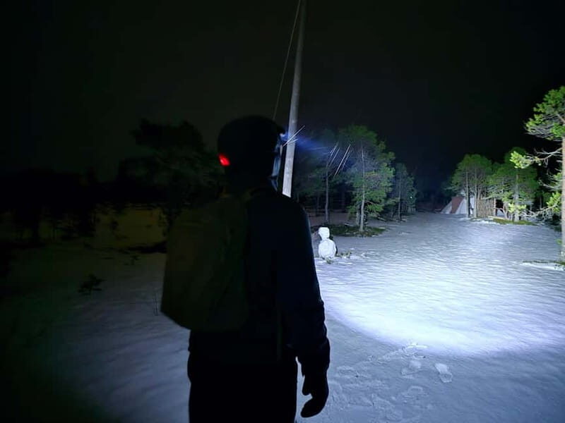 Tromsø: Northern Lights and a Starlit Adventure Tour - Final Thoughts