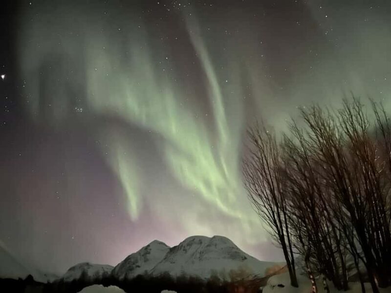 Tromso: Northern Lights Basecamp Tour  Warm Meal Included - Who Should Consider This Tour?