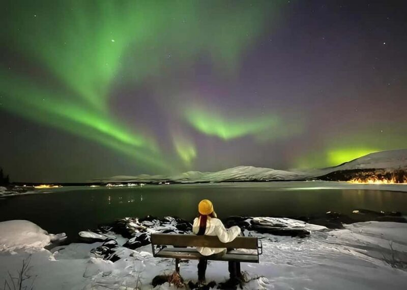 Tromsø: Northern Lights Chase with Bonfire and Snacks - The Logistics and Practicalities