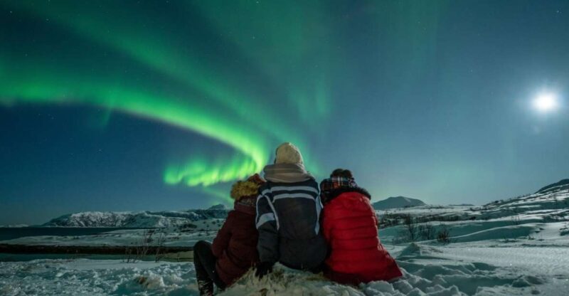 Tromsø: Northern Lights Guided Bus Tour - An Honest Look at the Tour Experience