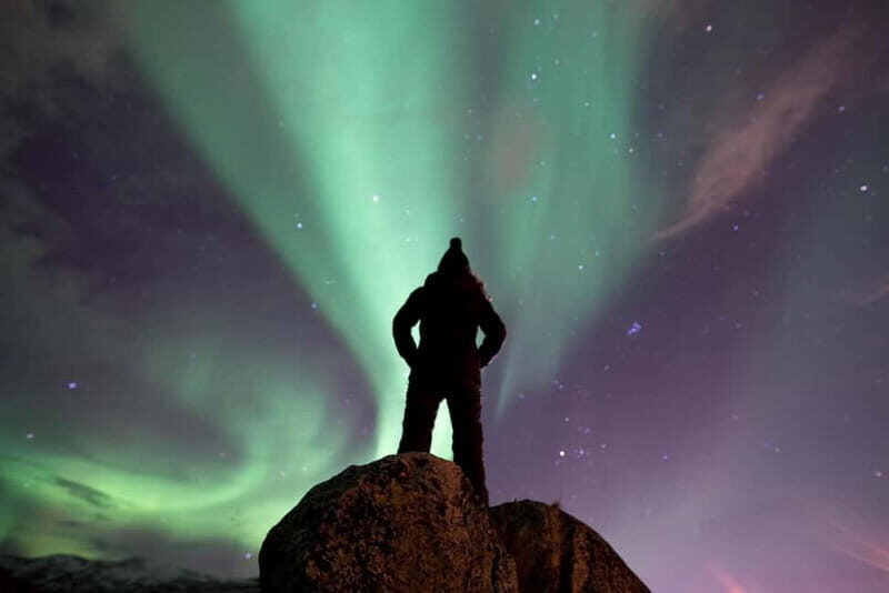 Tromsø: Northern Lights Hunt in French with Photographer - Key Points