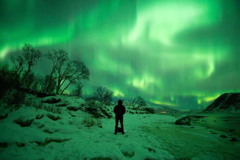 Tromsø: Northern Lights Hunt in French with Photographer - Why This Tour Stands Out