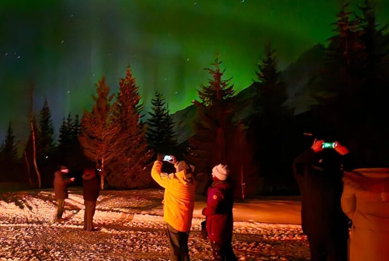 Tromsø: Northern Lights Hunt, private tour - What You Can Expect from This Tour