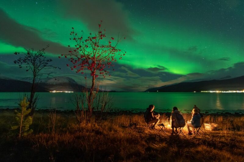 Tromsø: Northern Lights Hunt with Photos and Hot Food - Key Points